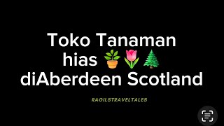 Toko tanaman hias diAberdeen Scotland [upl. by Dorran446]