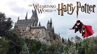 The Wizarding World of Harry Potter  Christmas Show harrypotter hogwarts christmas [upl. by Majka279]