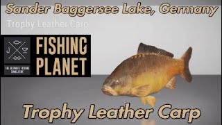 Fishing Planet Trophy Leather Carp Sander Baggersee Lake Germany Guide [upl. by Kathlene]