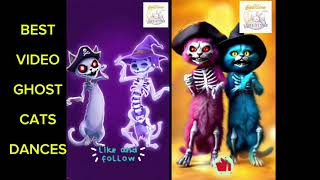 Cute And GHOST CATS Dance Best Shorts Virals Videos ghost cat dance funny trending viralvideo [upl. by Ellednahs79]