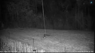 LIVE Deer Cam Virginia [upl. by Redd792]