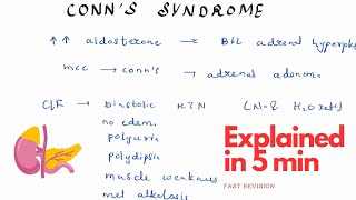 CONNs Syndrome explined in 3 minutes  Endocrinology Medicine Revision  For theory exams [upl. by Eahsan]