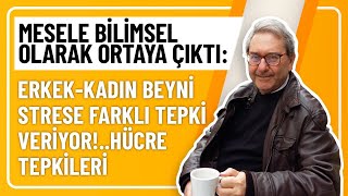 MESELE BİLİMSEL OLARAK ORTAYA ÇIKTI ERKEKKADIN BEYNİ STRESE FARKLI TEPKİ VERİYORHÜCRE TEPKİLERİ [upl. by Layod]