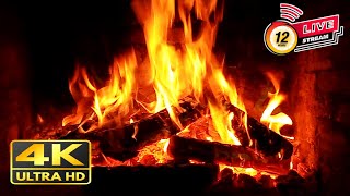 🔥 Birchwood Fireplace Burning in Cold Night  Cozy Christmas Fireplace with Crackling Fire Sounds [upl. by Suirad377]