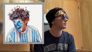 Hobo Johnson  the fall of Hobo Johnson Album REVIEW [upl. by Rafe]