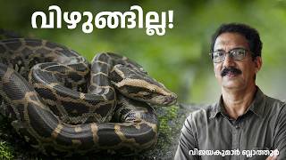 പെരുമ്പാമ്പിന് കാലുണ്ടായിരുന്നു Can a python eat a man malayalam science education മലയാളം [upl. by Nodaj]