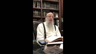 Rabbi Elchonon Tauber  Parshas Shemos 5777 2017 [upl. by Nino]