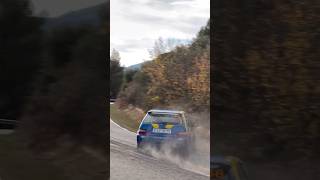 Citroen saxo vts rally epic save [upl. by Ayifa884]