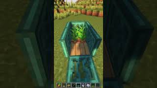 Minecraft Simple Rabbit Trap 🐇 minecraft moments shorts [upl. by Magena384]