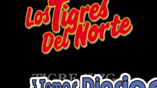 Orgullo MalditoLos Tigres del Norte Album Incansables Año 1991 [upl. by Hamforrd256]