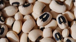 Boiled Cowpeas  Nutritional Informational [upl. by Enihpets]