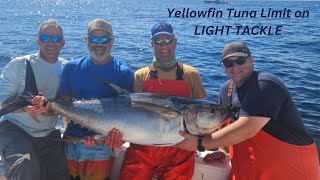 Yellowfin Tuna LIMIT on LIGHT TACKLE [upl. by Oelc788]