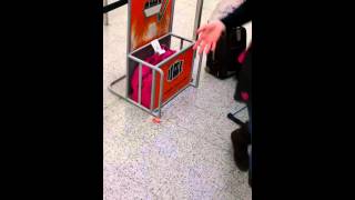 Bag which easy jet declined as carry on baggage and fined us [upl. by Iggy]