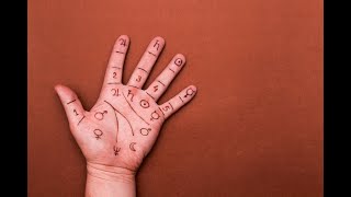 Decoding Palmistry The Art of Palm Reading Unveiled │ FactzYouShouldKnow [upl. by Anyd]