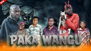 PAKA WANGU episode 1 [upl. by Yrogiarc]