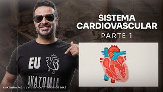 SISTEMA CARDIOVASCULAR O SANGUE SAINDO DO CORAÇÃO PARTE 1  anatomiafacil [upl. by Rutter]