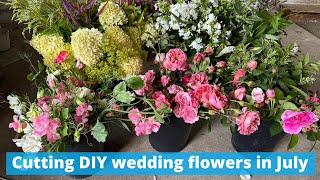 How your local flower farmer will cut your wedding flowers when you order from them x [upl. by Adekam]