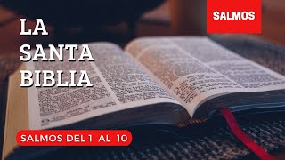 SALMOS DEL 1 AL 10 DÍA 149 LA SANTA BIBLIA  Biblia hablada [upl. by Onder26]