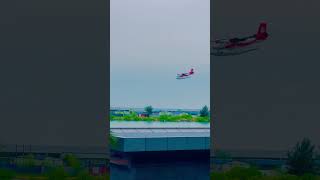 🌊🛩️ Mesmerizing Seaplane Landing in the Maldives 🌴✨ [upl. by Ahsircal]