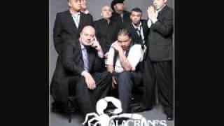 Alacranes Musical Mix [upl. by Sualokin]