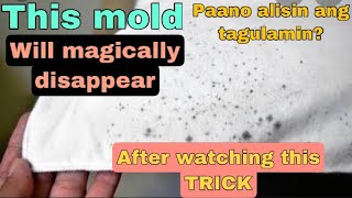 PAANO TANGGALIN ANG TAGULAMIN HOW TO REMOVE MOLDMILDEW Very easy [upl. by Aisile]