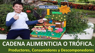 🌿🦁 Cadena alimenticia o trófica 🦐🍃 Productores consumidores y descomponedores  Maqueta [upl. by Yrad]