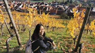 Nierstein  Schwabsburg  The Wine Growing Village [upl. by Joellyn67]