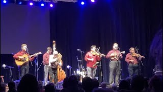 Little Roy amp Lizzy Show  Blueberry Pie bluegrass bluegrassmusic [upl. by Kohl624]