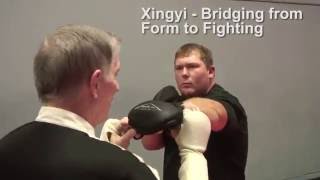 Xingyi  from Form to Fighting  Splitting Block [upl. by Edroi]