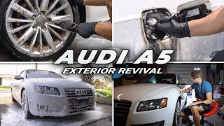 DEEP Cleaning Exterior Rescue  The Audi A5 Disaster Detail [upl. by Eirehc836]