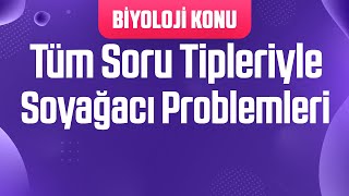 Tüm Soru Tipleriyle Soyağacı Problemleri [upl. by Horvitz555]