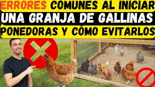 Errores Comunes al Iniciar una Granja de Gallinas ponedoras y Cómo Evitarlos [upl. by Drofyar]