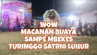 jaranan full kesurupan Turonggo Satrio luhur kanthilchannelkantilchannel312 [upl. by Bradski]