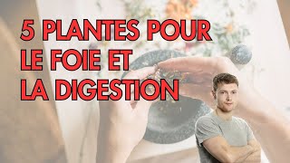 5 PLANTES pour soutenir le FOIE et la digestion [upl. by Rafaello]