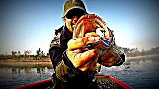 Underspins and Fish Head Spins  A Deep Water Winter Bass Fishing Technique [upl. by Eitsirc]