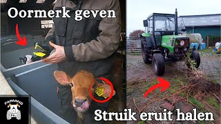 Klusjesdag op de Boerderij [upl. by Ennairek]