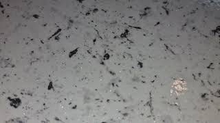 Spray Granite worktops spraymastersuk Derby youtubeshorts paintspraying [upl. by Neva]