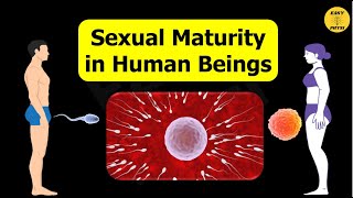 Sexual Maturity in Humans Class 10 [upl. by Meingolda]