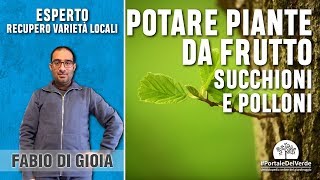 Come potare le piante da frutto succhioni e polloni [upl. by Dielle861]