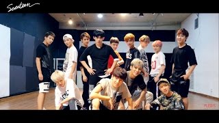 Dance Practice SEVENTEEN세븐틴  만세MANSAE  FOLLOW ME Ver [upl. by Erdried651]