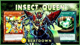 Metamorphosed Insect Queen Deck 2019  YuGiOh Duel Links [upl. by Airad]