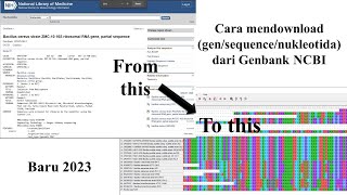 Cara Mudah Download GenSequenceNukleotida dari Genbank NCBI  2023 [upl. by Hsak]