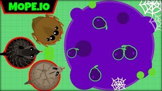 MOPEIO TROLLING ALL COBRA BOA AND SPIDERS  MOPEIO TROLLING  MopeioMOPEIO UPDATE [upl. by Ilse239]