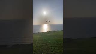 Paragliding  Torrey Pines Gliderport  La Jolla  San Diego paragliding aviation shorts relax [upl. by Bertilla]