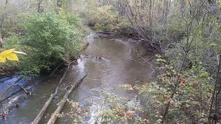 Tuscarawas River Akron Ohio Firestone Metropark 55 102821 [upl. by Tilney828]