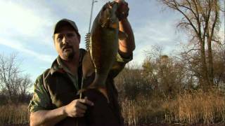 Throw Tubes For LateFall River Smallmouth [upl. by Web]