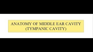 Anatomy of Middle Ear [upl. by Vernice]