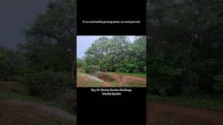 Day 41 Market Garden Challenge Weekly Update organicfarming india farm hyderabad agriculture [upl. by Constantino555]