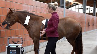 BICOM® Bioresonanz bei Tieren Erfahrungsberichte [upl. by Alaunnoif]