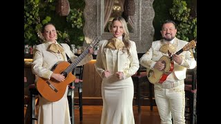 MAJESTIC MARIACHI BAND DXB [upl. by Eremahs]